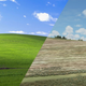 Image for article titled You Can Fly Into The Windows XP Wallpaper In Flight Simulator
